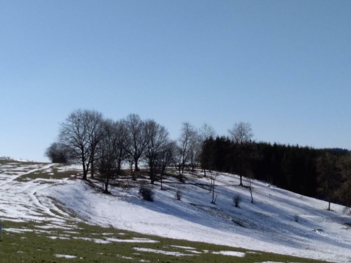 Oh Deer! Daire Vaux-sur-Sure Dış mekan fotoğraf